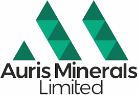 Auris Minerals logo