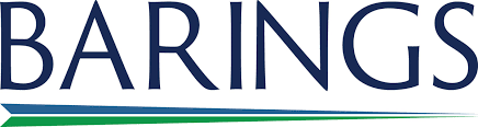 Barings Participation Investors logo
