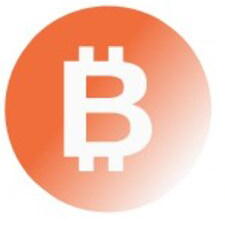 BitMine Immersion Technologies logo