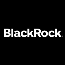 BlackRock ESG Capital Allocation Trust logo