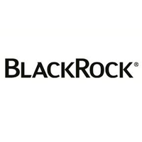 BlackRock Smaller Companies logo