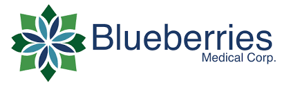 Blueberries Medical logo