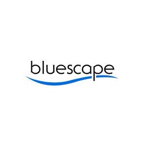 Bluescape Opportunities Acquisition logo