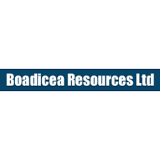 Boadicea Resources logo