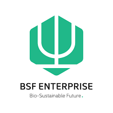 BSF Enterprise logo