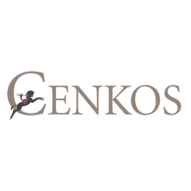 Cenkos Securities logo