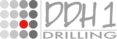 DDH1 logo