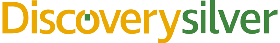 Discovery Silver logo