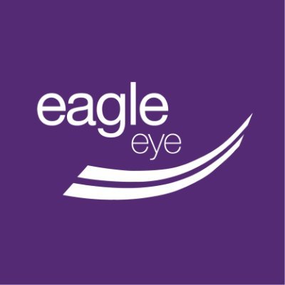 Eagle Eye Solutions Group logo