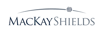 NYLI MacKay Municipal Insured ETF logo