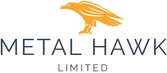 Metal Hawk logo
