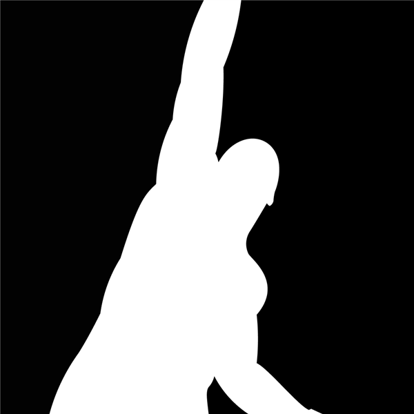Mixed Martial Arts Group logo