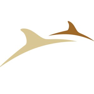 NorthIsle Copper and Gold logo