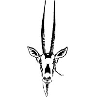 Oryx International Growth Fund logo