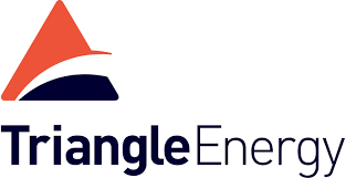 Triangle Energy (Global) logo