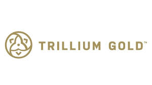 Trillium Gold Mines logo