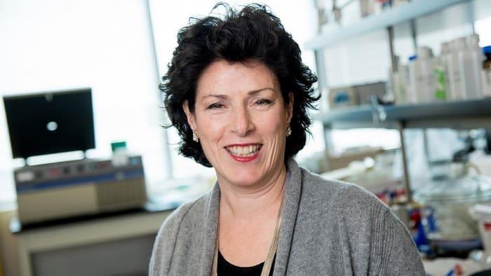 Susan Molineaux