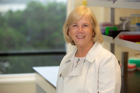 Jane A Gross