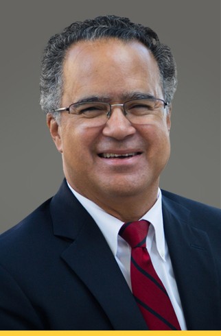 Peter J Taylor