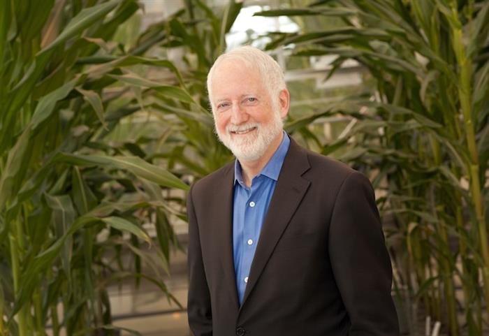 Neal Gutterson