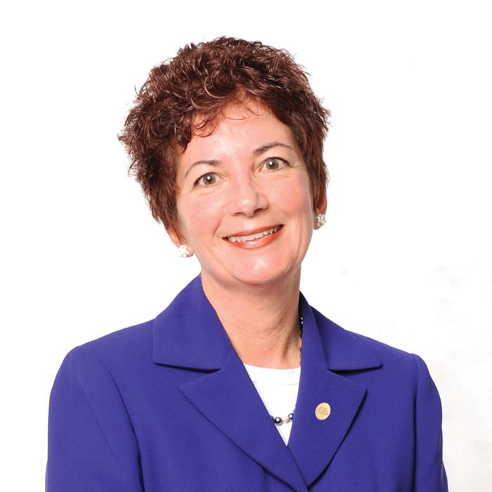 Diane J Silva