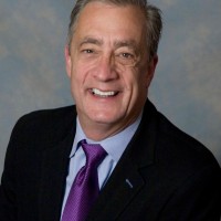 David P Steiner