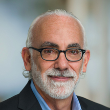 Steven F Siegel