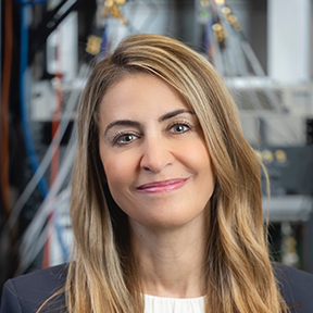 Rima Alameddine