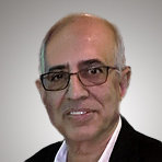Raj Puri
