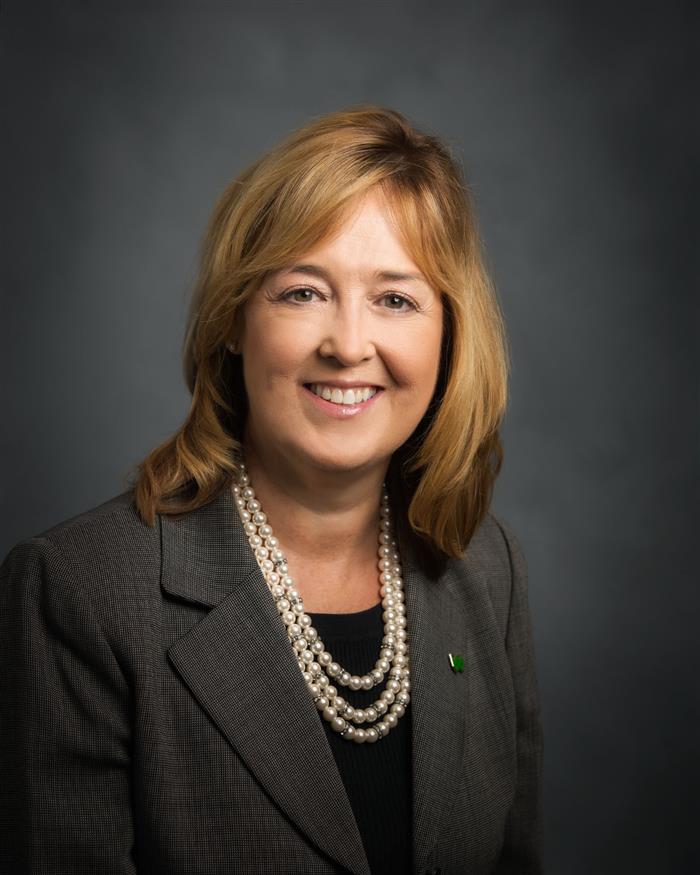 Denise H Knouse-Snyder