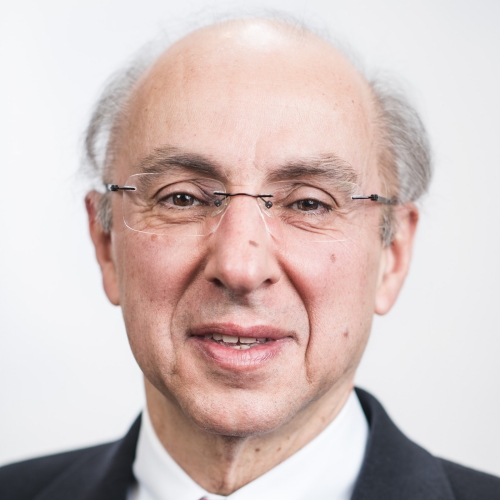 Miguel M Calado